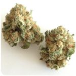 Шишки "White Widow"  (Белая вдова)  Гидропоника -  Бошка VHQ в Вольске