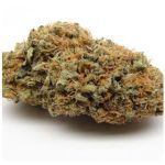 Шишки AK47  (Гидропоника, Бошка) VHQ в Вольске